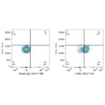A21940: ABflo® 488 Rabbit anti-Human CD86 mAb