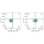 A21940: ABflo® 488 Rabbit anti-Human CD86 mAb