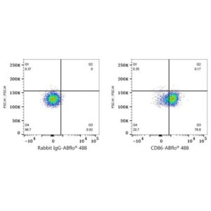 A21940: ABflo® 488 Rabbit anti-Human CD86 mAb