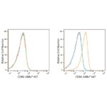 ABflo® 647 Rabbit anti-Human CD86 mAb (A21941)