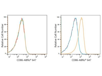 ABflo® 647 Rabbit anti-Human CD86 mAb (A21941)