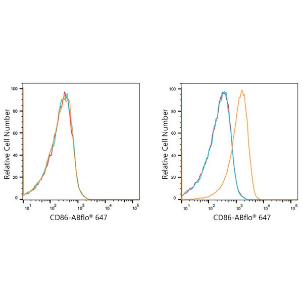 ABflo® 647 Rabbit anti-Human CD86 mAb (A21941)