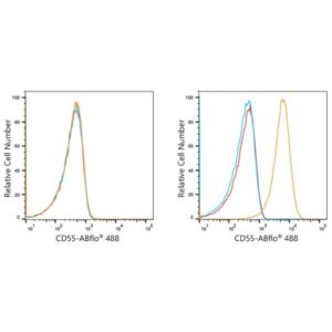 ABflo® 488 Rabbit anti-Human CD55 mAb (A21942)