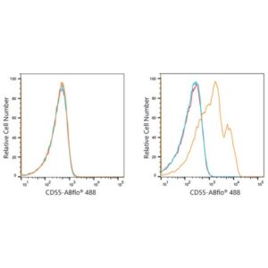 A21942: ABflo® 488 Rabbit anti-Human CD55 mAb