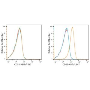ABflo® 647 Rabbit anti-Human CD55 mAb (A21943)