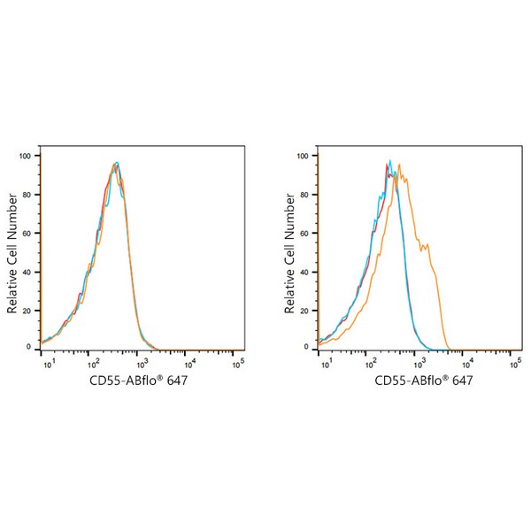 A21943: ABflo® 647 Rabbit anti-Human CD55 mAb