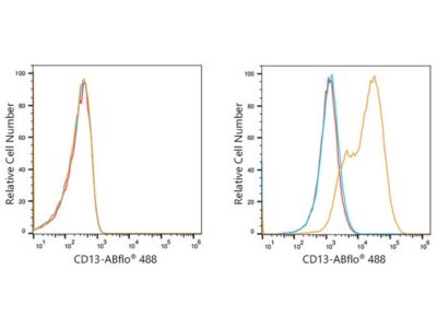 ABflo® 488 Rabbit anti-Human CD13/ANPEP mAb (A21944)