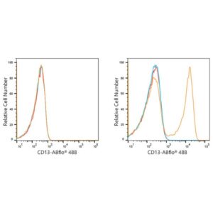A21944: ABflo® 488 Rabbit anti-Human CD13/ANPEP mAb