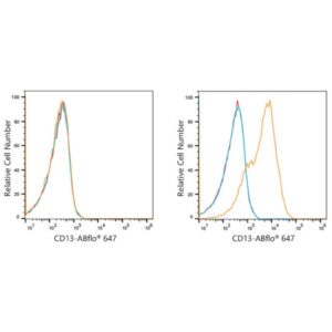 ABflo® 647 Rabbit anti-Human CD13/ANPEP mAb (A21945)