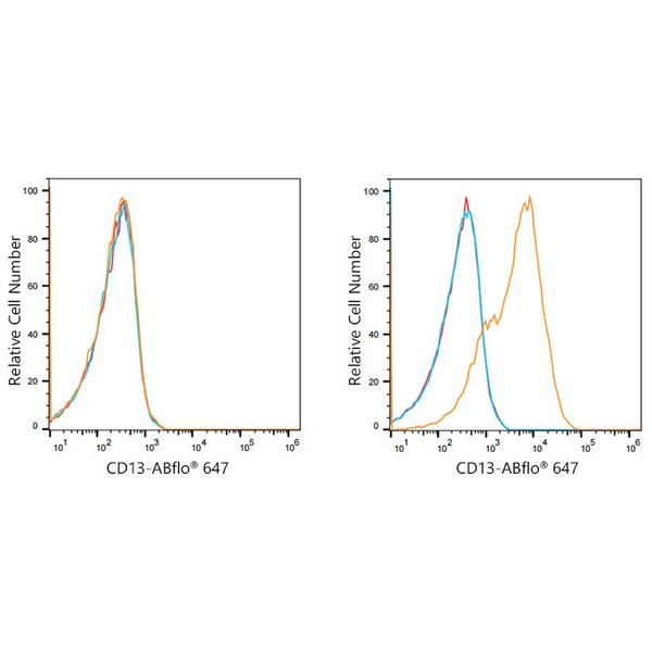 ABflo® 647 Rabbit anti-Human CD13/ANPEP mAb (A21945) ABflo® 647 Rabbit anti-Human CD13/ANPEP mAb (A21945)
