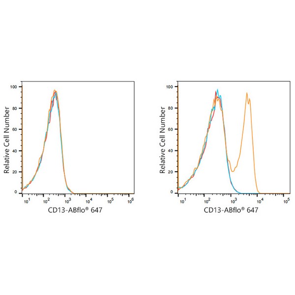 A21945: ABflo® 647 Rabbit anti-Human CD13/ANPEP mAb