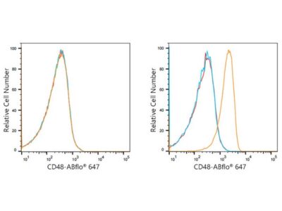 ABflo® 647 Rabbit anti-Human CD48 mAb (A21946)