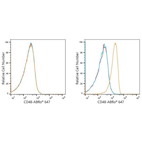 ABflo® 647 Rabbit anti-Human CD48 mAb (A21946) ABflo® 647 Rabbit anti-Human CD48 mAb (A21946)