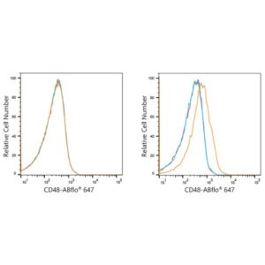 A21946: ABflo® 647 Rabbit anti-Human CD48 mAb
