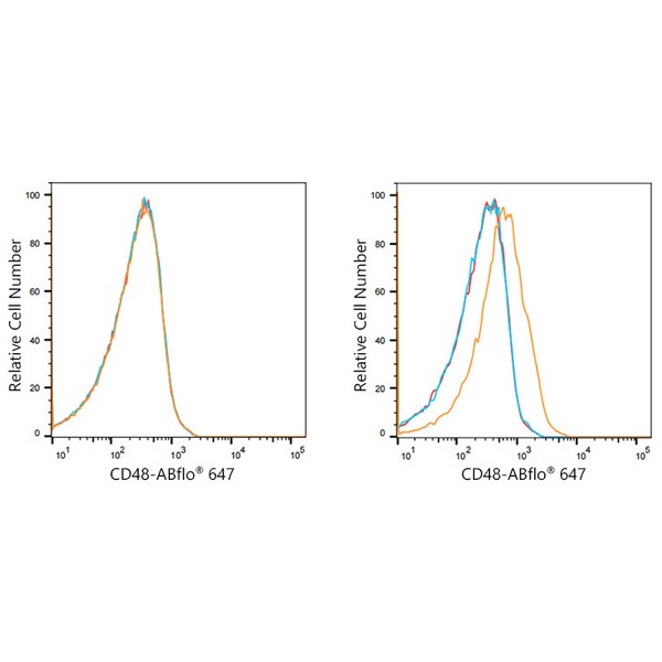 A21946: ABflo® 647 Rabbit anti-Human CD48 mAb