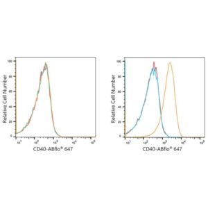 ABflo® 647 Rabbit anti-Human CD40 mAb (A21947)