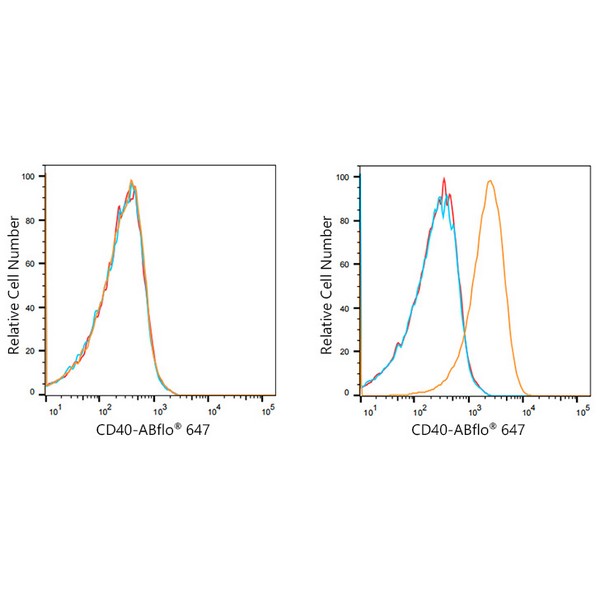 ABflo® 647 Rabbit anti-Human CD40 mAb (A21947)