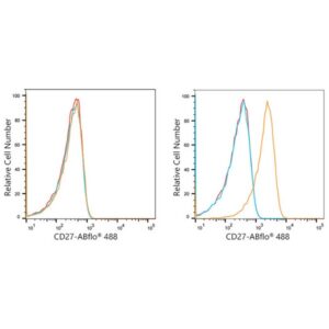 ABflo® 488 Rabbit anti-Human CD27 mAb (A22063)