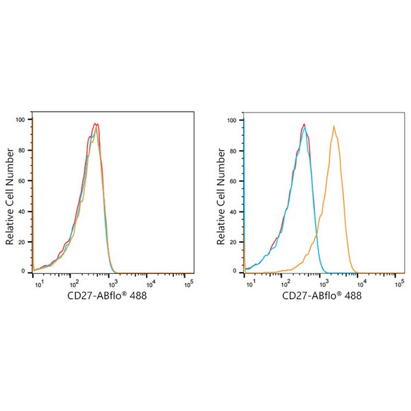 ABflo® 488 Rabbit anti-Human CD27 mAb (A22063)