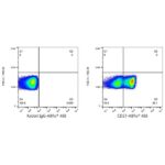 ABflo® 488 Rabbit anti-Human CD27 mAb (Catalog Number: A22063) Abclonal