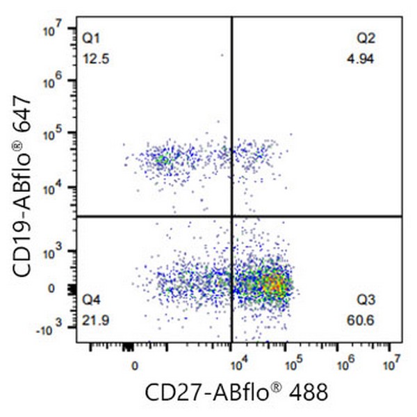 Abclonal ABflo® 488 Rabbit anti-Human CD27 mAb (Catalog Number: A22063)