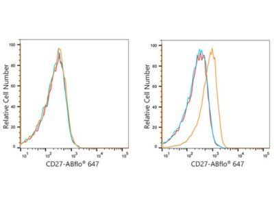 ABflo® 647 Rabbit anti-Human CD27 mAb (A22064)