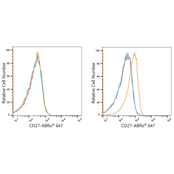 ABflo® 647 Rabbit anti-Human CD27 mAb (A22064)