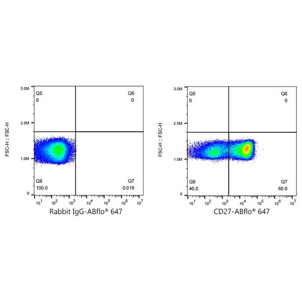 ABflo® 647 Rabbit anti-Human CD27 mAb (Catalog Number: A22064) Abclonal