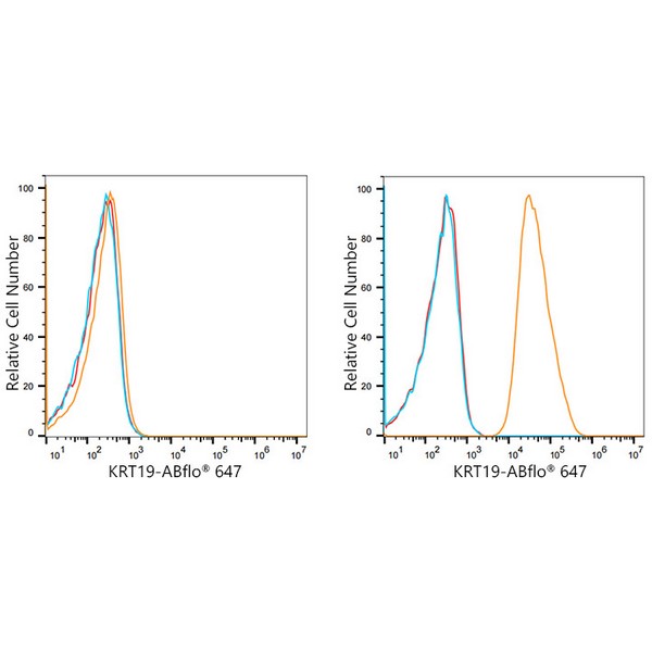 ABflo® 647 Rabbit anti-Human Cytokeratin 19 (KRT19) mAb (A22066) ABflo® 647 Rabbit anti-Human Cytokeratin 19 (KRT19) mAb (A22066)
