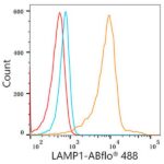 A22067: ABflo® 488 Rabbit anti-Human LAMP1/CD107a mAb