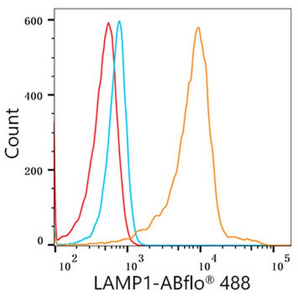 A22067: ABflo® 488 Rabbit anti-Human LAMP1/CD107a mAb
