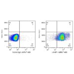 ABflo® 488 Rabbit anti-Human LAMP1/CD107a mAb (Catalog Number: A22067) Abclonal