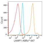 A22068: ABflo® 647 Rabbit anti-Human LAMP1/CD107a mAb
