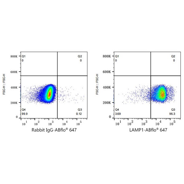 ABflo® 647 Rabbit anti-Human LAMP1/CD107a mAb (Catalog Number: A22068) Abclonal