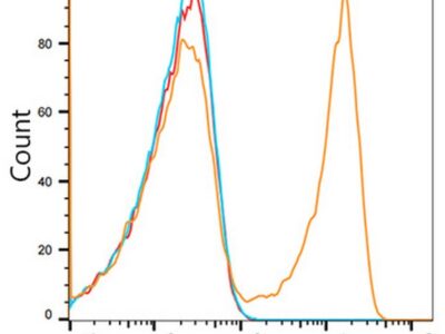 ABflo® 488 Rabbit IgG isotype control (A22069)