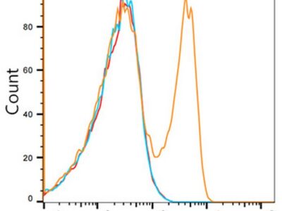 ABflo® 647 Rabbit IgG isotype control (A22070)