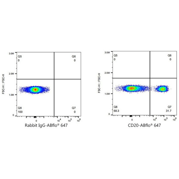 ABflo® 647 Rabbit anti-Human/Monkey CD20 mAb (Catalog Number: A22153) Abclonal