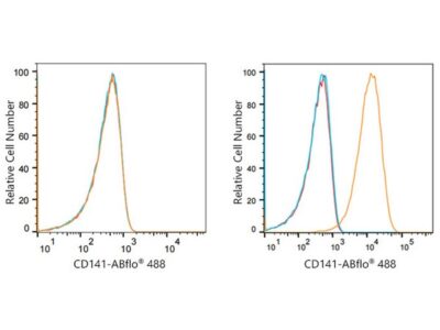 ABflo® 488 Rabbit anti-Human CD141/Thrombomodulin mAb (A22154)