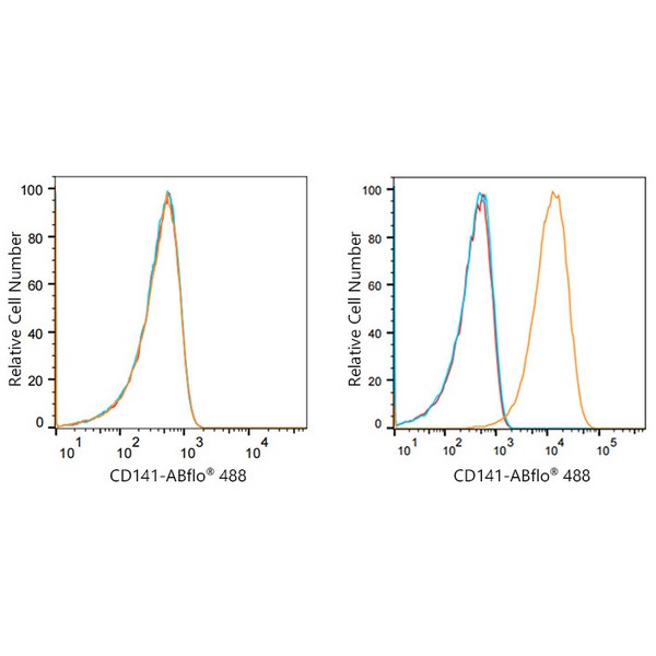 ABflo® 488 Rabbit anti-Human CD141/Thrombomodulin mAb (A22154) ABflo® 488 Rabbit anti-Human CD141/Thrombomodulin mAb (A22154)
