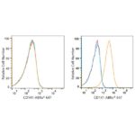 ABflo® 647 Rabbit anti-Human CD141/Thrombomodulin mAb (A22155)