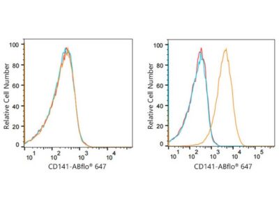 ABflo® 647 Rabbit anti-Human CD141/Thrombomodulin mAb (A22155)