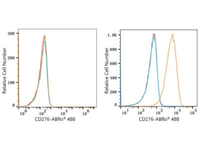 ABflo® 488 Rabbit anti-Human/Mouse CD276/B7-H3 mAb (A22156)