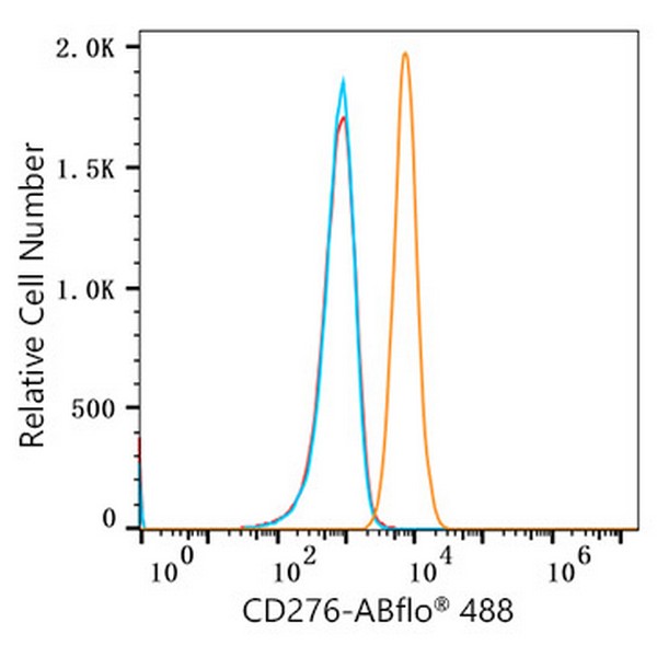 A22156: ABflo® 488 Rabbit anti-Human/Mouse CD276/B7-H3 mAb