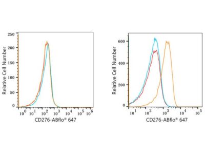 ABflo® 647 Rabbit anti-Human/Mouse CD276/B7-H3 mAb (A22157)