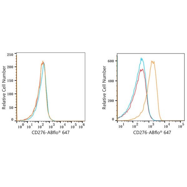 ABflo® 647 Rabbit anti-Human/Mouse CD276/B7-H3 mAb (A22157)