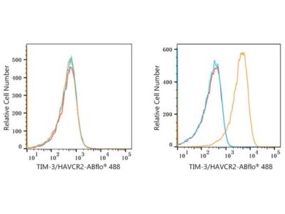 ABflo® 488 Rabbit anti-Human TIM-3/HAVCR2 mAb (A22158)