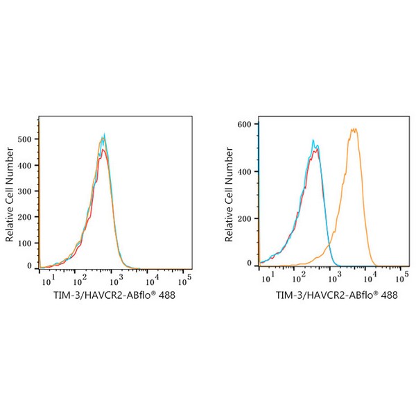 ABflo® 488 Rabbit anti-Human TIM-3/HAVCR2 mAb (A22158) ABflo® 488 Rabbit anti-Human TIM-3/HAVCR2 mAb (A22158)