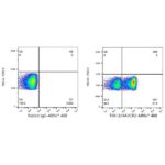 ABflo® 488 Rabbit anti-Human TIM-3/HAVCR2 mAb (Catalog Number: A22158) Abclonal