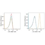 ABflo® 488 Rabbit anti-Human CD5 mAb (A22185)