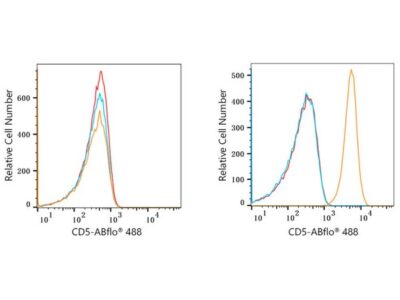 ABflo® 488 Rabbit anti-Human CD5 mAb (A22185)